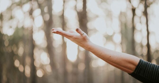 Fertility Acupuncture