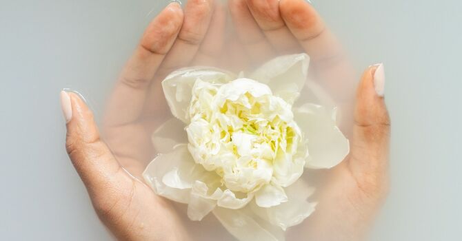 Fertility Acupuncture